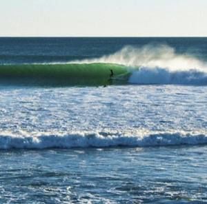 Meet your Posher, Kris